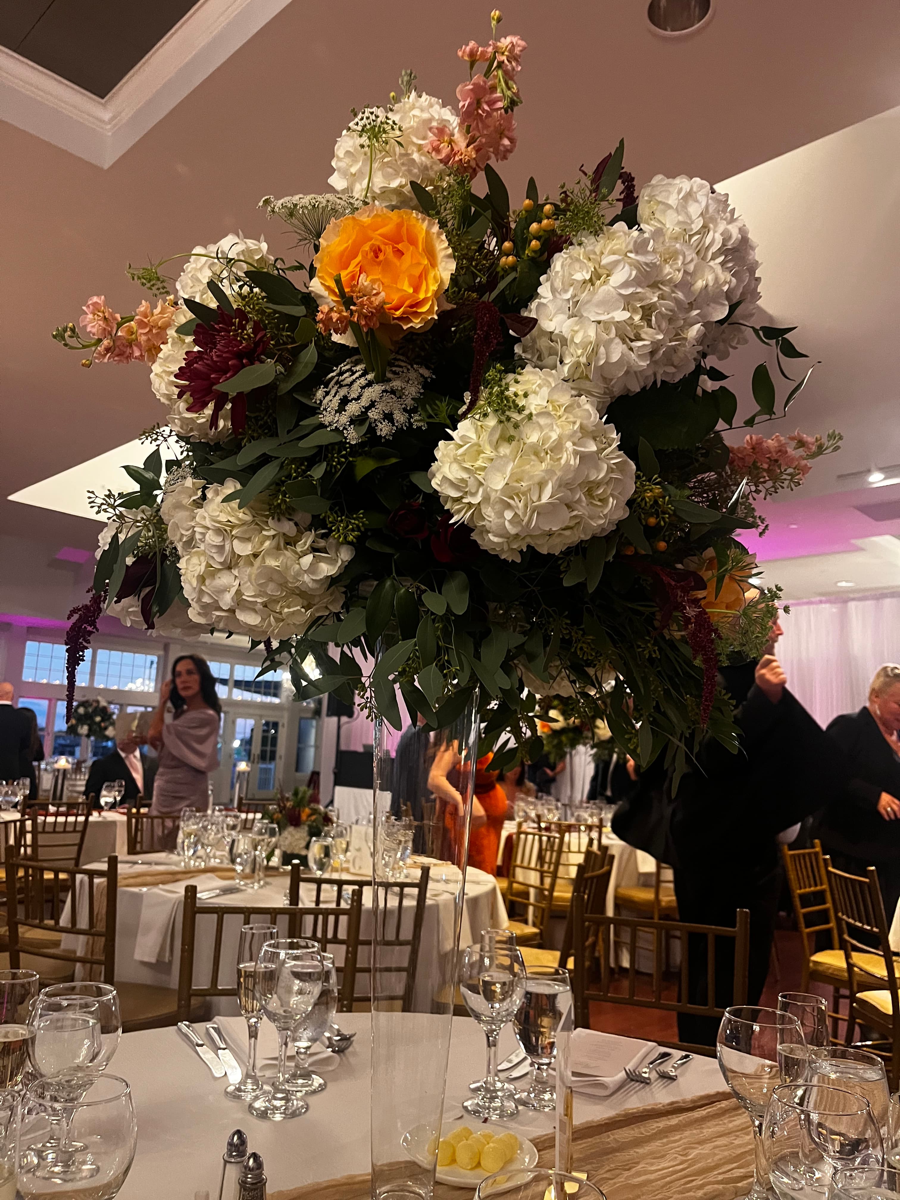 Image by Ellen McKinnon-wx2AFj